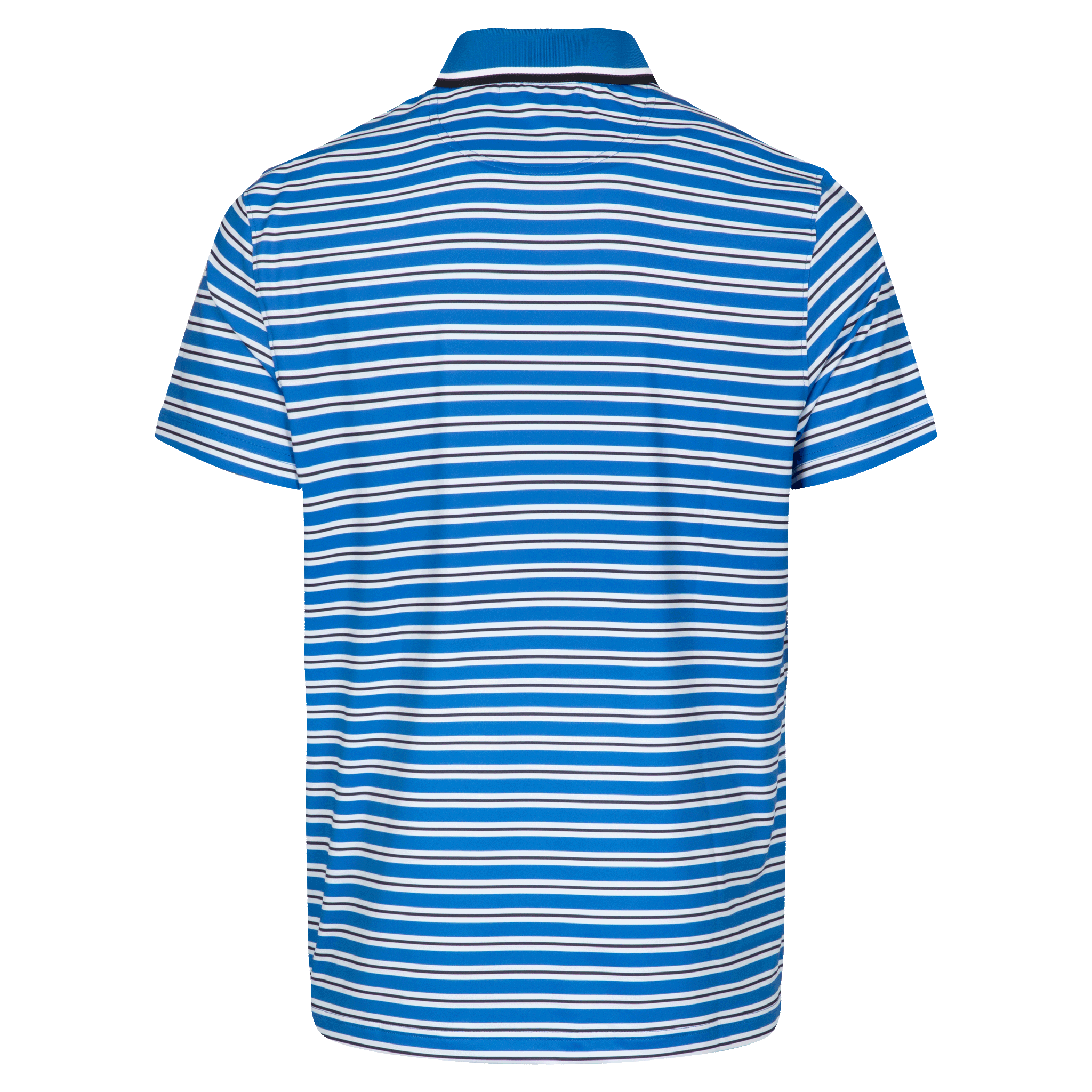 Hale Polo | Victoria Blue Stripe