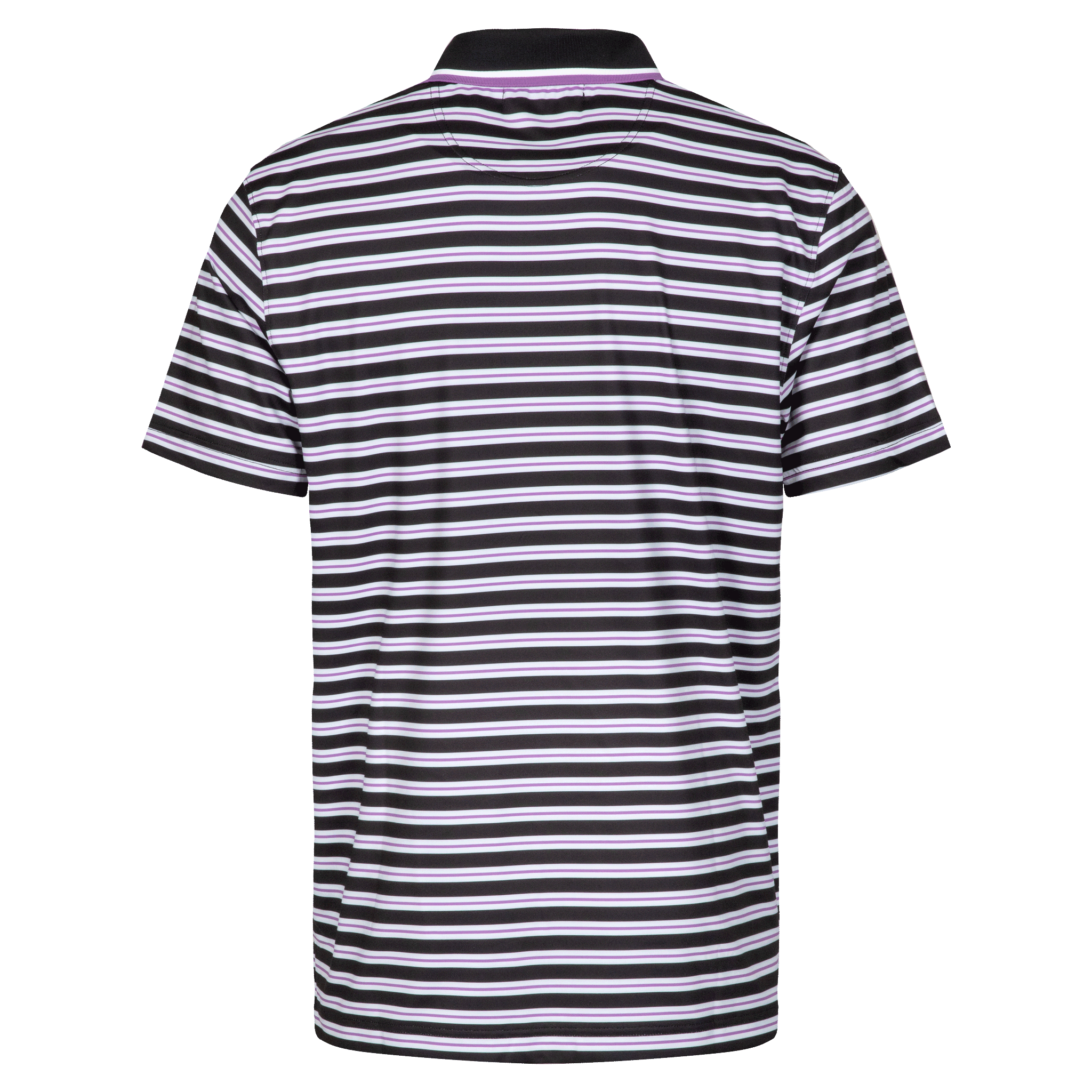 Hale Polo | Bellflower Stripe